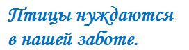 Птицы нуждаются в нашей заботе. 

