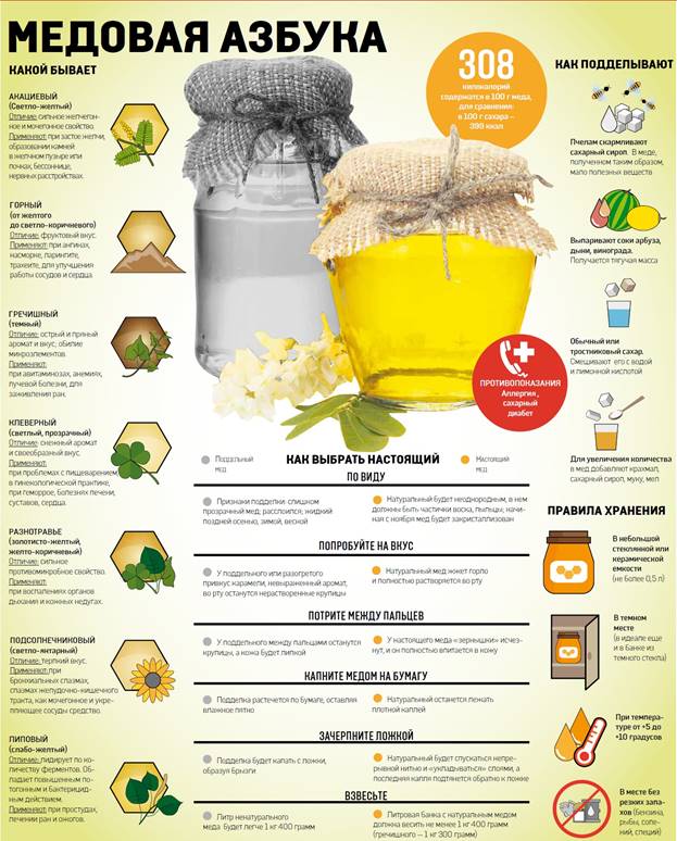 http://okeydoc.ru/wp-content/uploads/2016/01/26611-0.jpg
