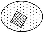 Описание: Рис. 4. Пероксисомы
 имеют размеры 0,3–1,5 мкм и содержат внутри кристаллические ферменты