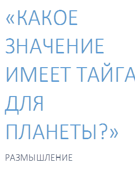 «КАКОЕ ЗНАЧЕНИЕ ИМЕЕТ ТАЙГА ДЛЯ ПЛАНЕТЫ?»
РАЗМЫШЛЕНИЕ
