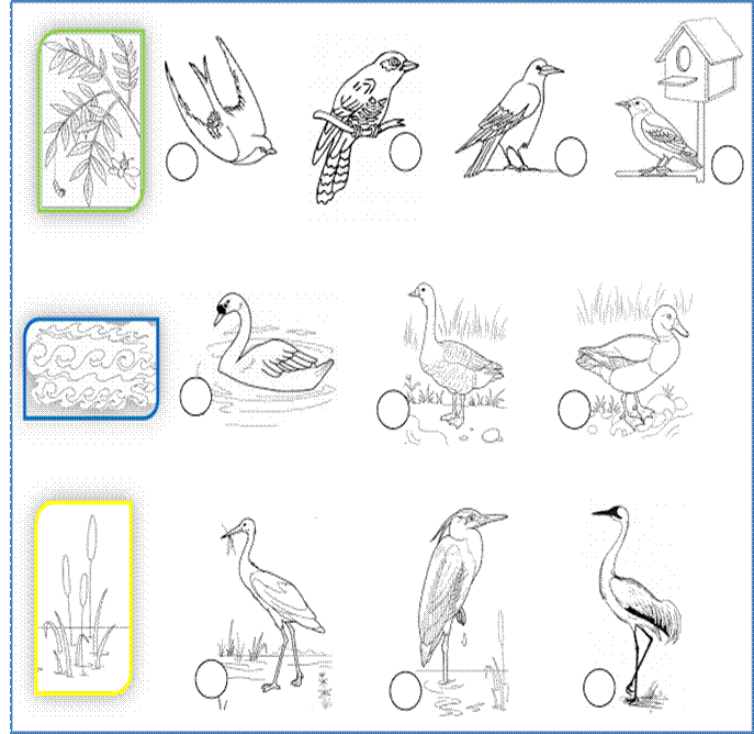 Лексическая тема перелетные птицы старшая группа. Задания по теме перелётные птицы для дошкольников. Лексическая тема птицы. Лексическая тема перелетные птицы. Перелетные водоплавающие птицы лексическая тема.