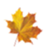 https://arhivurokov.ru/kopilka/up/html/2018/03/05/k_5a9d62e2796f6/460819_2.png