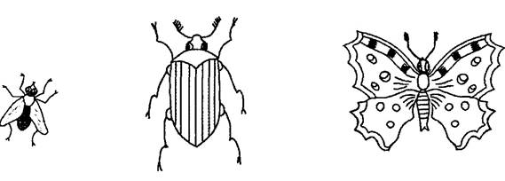 Сколько ног у насекомых 1 класс окружающий. Насекомые задания для детей. Задания по теме насекомые для дошкольников. Раскраски с заданием насекомые для дошкольников. Насекомые раскраска задание.