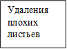 Удаления плохих листьев