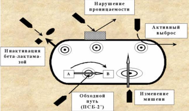 http://www.medlinks.ru/images/art/all10/new_pa72.jpg