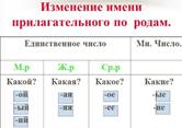 Имя прилагательное. Родовые окончания имен прилагательных