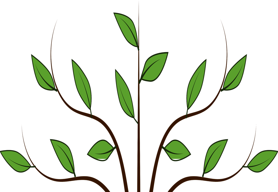 http://cliparts.co/cliparts/8T6/8xa/8T68xaL7c.png