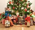 When is the best time to take down your Christmas tree and decorations -  Liverpool Echo