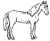 1-1-33-1-3.jpg (8835 bytes)
