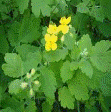 https://fsd.kopilkaurokov.ru/uploads/user_file_54b759ab58c3a/vnieklassnoie-mieropriiatiie-v-ghruppie-prodlionnogho-dnia_11.png