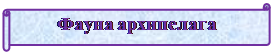 Горизонтальный свиток: Фауна архипелага


