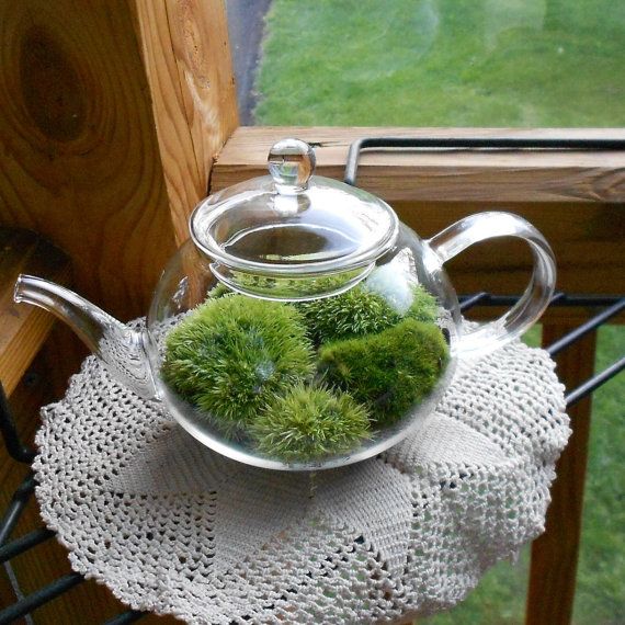 http://diybetterhomes.com/wp-content/uploads/2015/11/Succulent-And-Beautiful-Terrarium-Decor-11.jpg