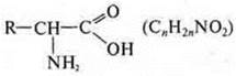 https://compendium.su/chemistry/11klas/11klas.files/image929.jpg