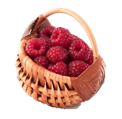 https://st.depositphotos.com/1002351/1943/i/950/depositphotos_19439245-stock-photo-ripe-raspberries-in-basket.jpg