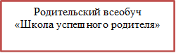 Родительский всеобуч
«Школа успешного родителя»



