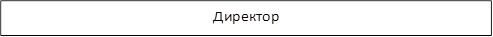 Директор