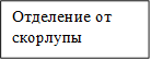 Отделение от скорлупы