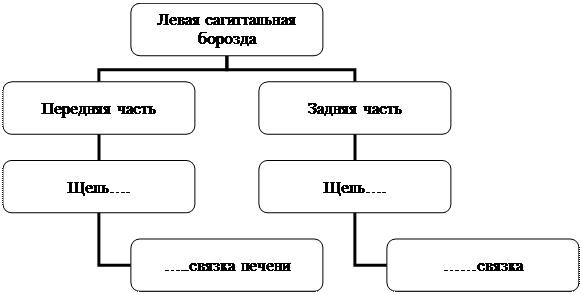 Организационная диаграмма