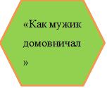 «Как мужик домовничал»

