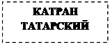 Надпись: КАТРАН ТАТАРСКИЙ