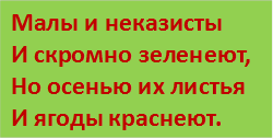 Малы и неказисты
И скромно зеленеют,
Но осенью их листья
И ягоды краснеют.
