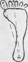 http://rudocs.exdat.com/pars_docs/tw_refs/552/551926/551926_html_m6eeba5ab.png