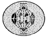 hello_html_1dcd31ed.gif