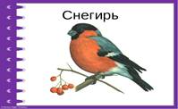 Описание: https://ds02.infourok.ru/uploads/ex/0ba5/0007fae4-00f029df/img3.jpg
