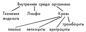 http://bio.1september.ru/2000/06/5.gif
