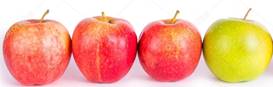 https://st2.depositphotos.com/5029487/7436/i/950/depositphotos_74369259-stock-photo-apples-in-a-row.jpg