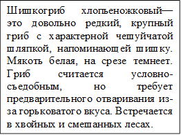 Шишкогриб хлопьеножковый— это довольно редкий, крупный гриб с характерной чешуйчатой шляпкой, напоминающей шишку. Мякоть белая, на срезе темнеет. Гриб считается условно-съедобным, но требует предварительного отваривания из-за горьковатого вкуса. Встречается в хвойных и смешанных лесах.