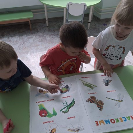 Описание: Фотография - 970138609738