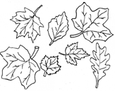 https://ar37.ru/wp-content/uploads/c/1/b/c1b8e43369d33d8958953305a071be7c.png