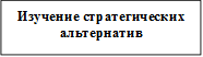 Изучение стратегических альтернатив