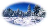 http://t3.gstatic.com/images?q=tbn:ANd9GcSV7wJGWiHiK7oVwOGyi_NDub7y8hzvU7febSJg5LE7FOZAiIrHMw