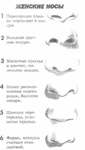 http://festival.1september.ru/articles/609343/6.jpg