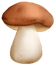 грибы png | PNGWing