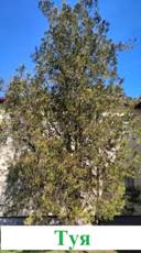IMG_20230403_112950.jpg