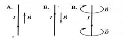 На каком из рисунков правильно показано направление линий индукции магнитного поля