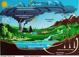 http://www.dishisvobodno.ru/pictures/pollution5.jpg