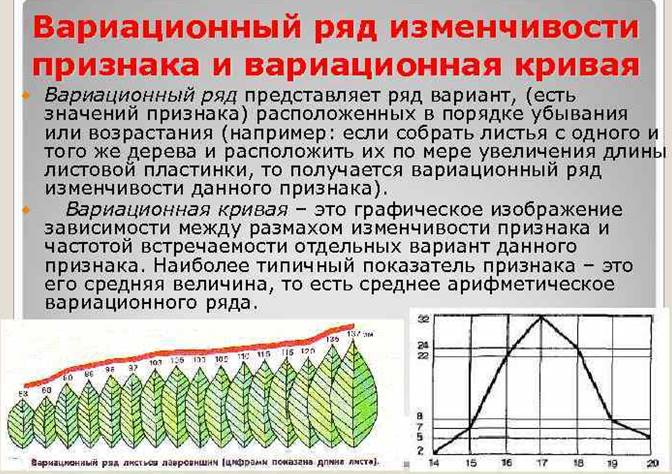 https://present5.com/presentation/3/-62628470_339365330.pdf-img/-62628470_339365330.pdf-7.jpg