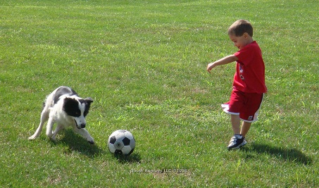 http://www.englishexercises.org/makeagame/my_documents/my_pictures/2012/oct/Maggie_playing_soccer.jpg