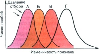 Рисунок соответствующий естественному свету