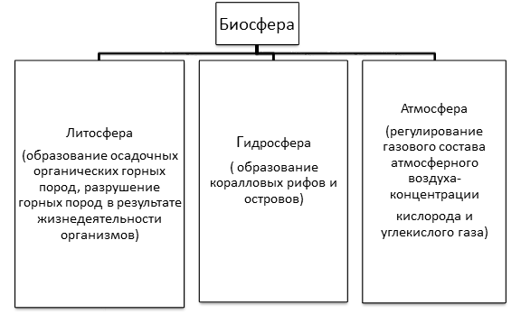 Заполните схему литосфера