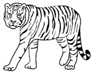 Jungle Tiger Playsational