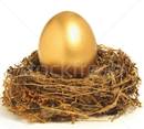 https://img3.stockfresh.com/files/b/balefire9/m/32/1313739_stock-photo-golden-nest-egg-representing-retirement-savings.jpg