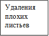 Удаления плохих листьев
