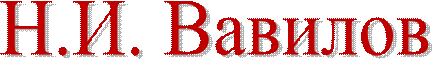 Н.И. Вавилов
