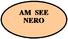 Овал: AM  SEE
NERO
