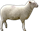 Картинки по запросу sheep png